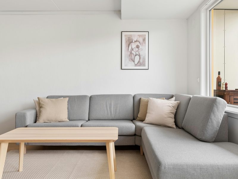 Salón minimalista gris